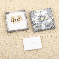 Christian Dior Earrings